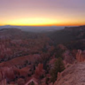 Meet your Posher, Tanyaantosik